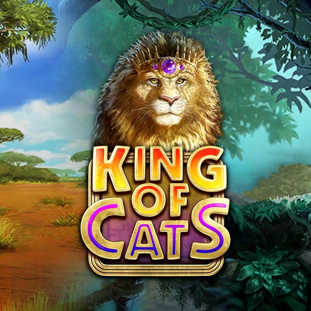 Play Now king of cats